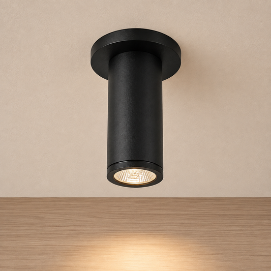 Black 4-inch outdoor LED ceiling mount light